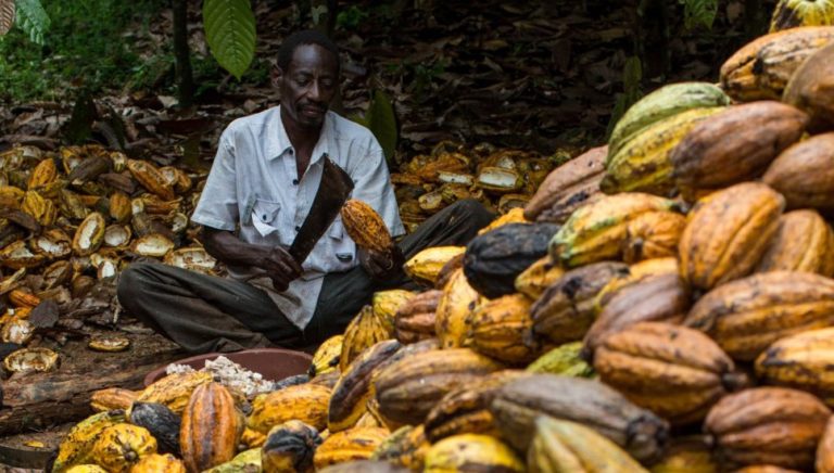 Côte d’Ivoire to build its first biomass power station from cocoa waste