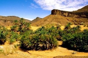 mauritania-agriculture