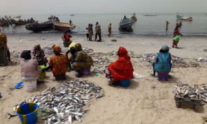 MDG : local fishing communauty on West Cioast of Africa, in Senegal and Mauritania