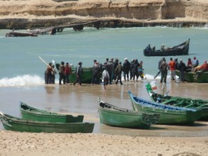 peche-mauritanie