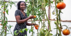 mkulima-young-farming-in-kenya-becomes-sexy-620x320