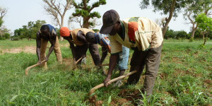 farmers-burkina-faso