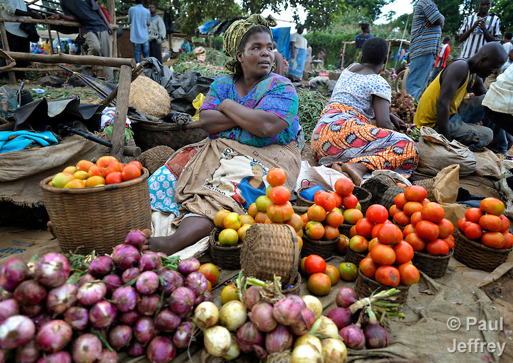 Malawi’s economic growth to exceed 5.5 in 2017 President