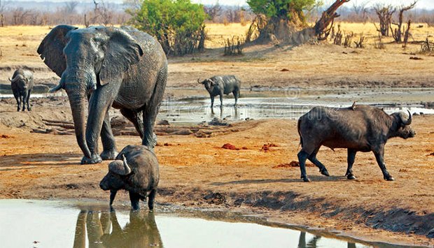 Angolskí novinári môžu predkladať nominácie – MetaAfrica Times