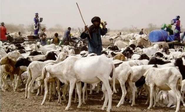 mauritania_senegal_eid al adha
