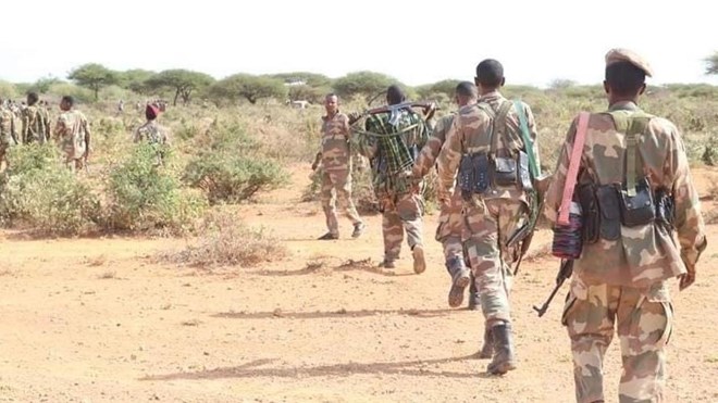 Somalia_Forty-Five Terrorists_Including a Top Al-Shabaab Leader_Killed in Military Operations