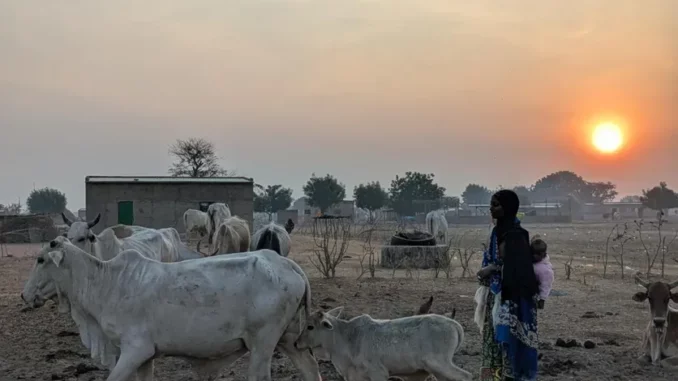chad_herders