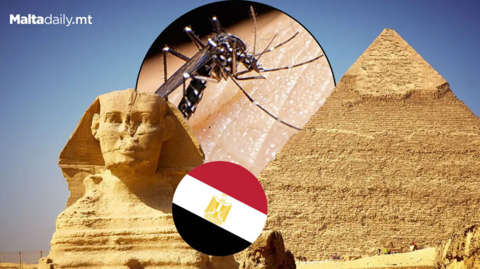 egypt_malaria-free