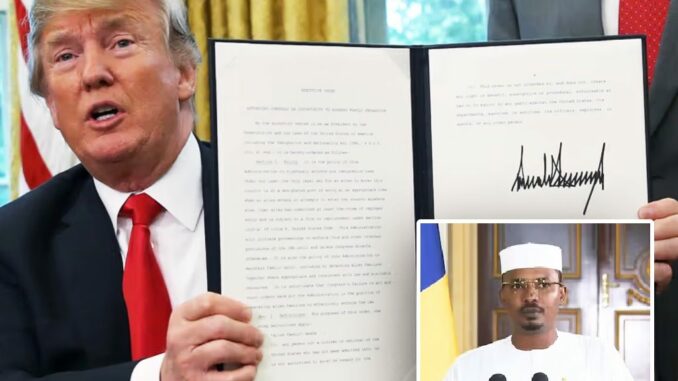Chad Suspends US Visas in Defiant Response to Renewed Trump Travel Ban
